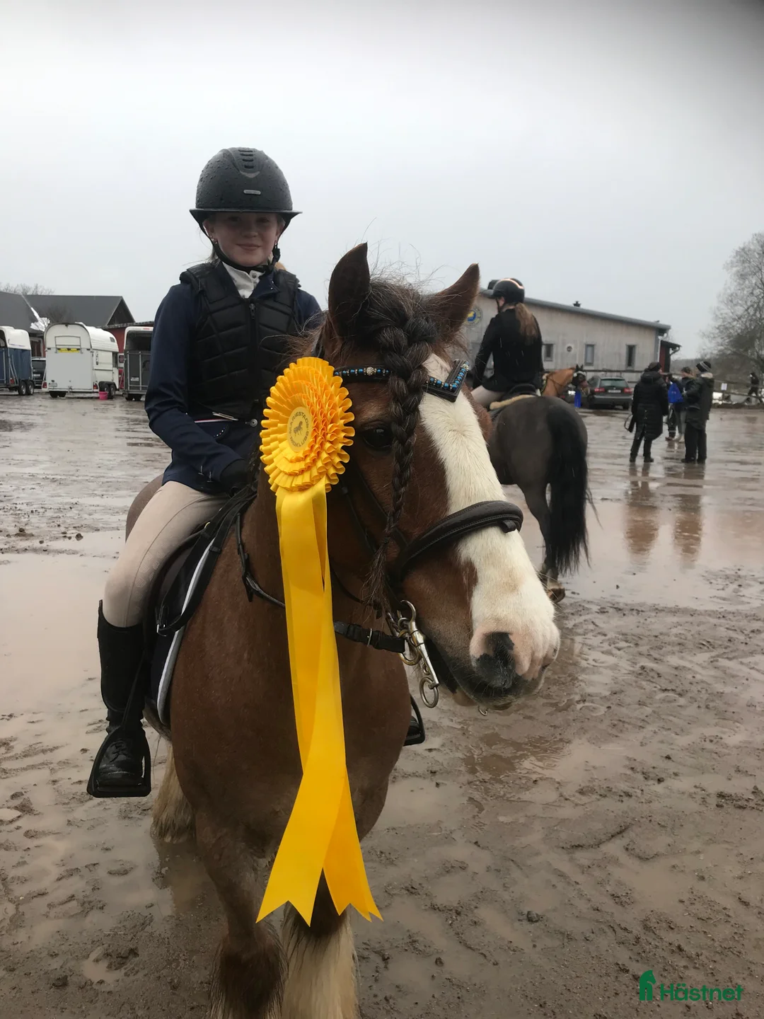 Allround hästar till salu: Ponny som stocker ut i mängden! i Vedum - Annons 7