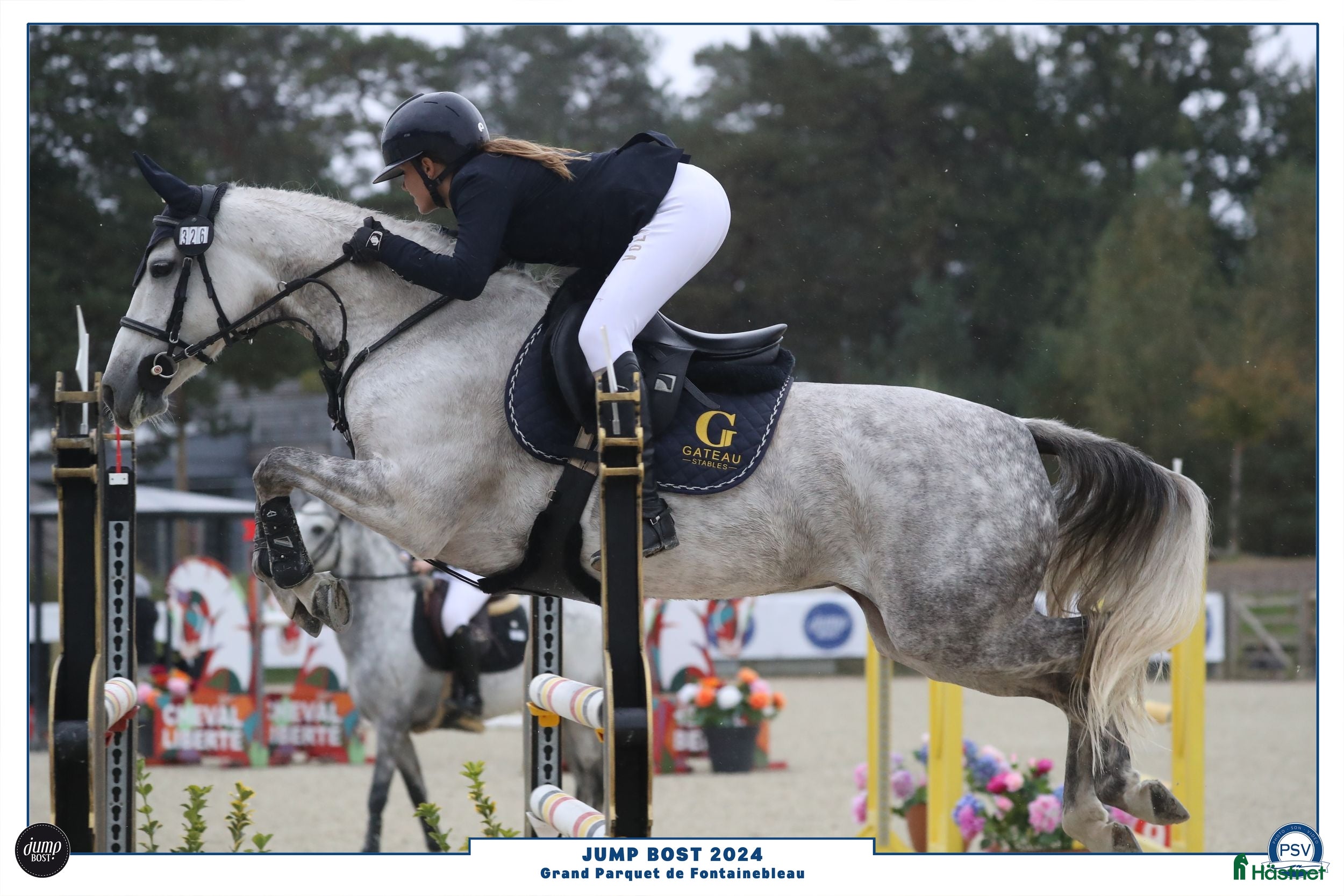 Hoppning hästar till salu: 148 Big Tracks ponies at Gateau Stables France - Annons 4