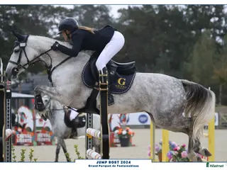 Hoppning hästar till salu: 148 Big Tracks ponies at Gateau Stables France - Annons 4