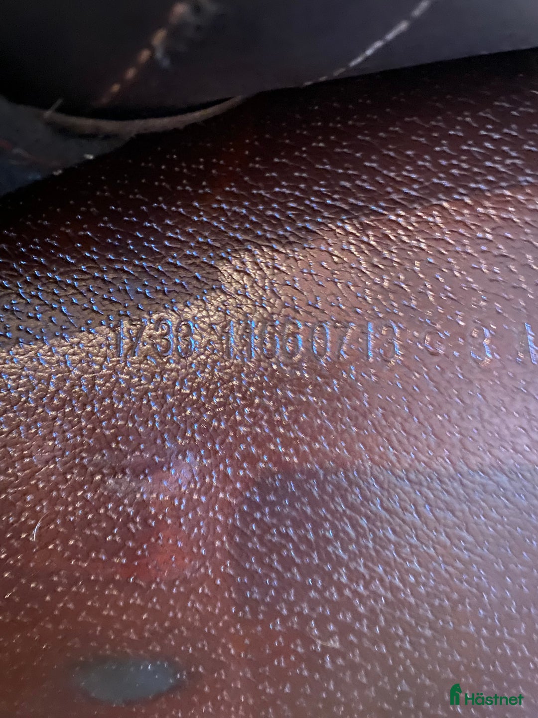 Sadlar hästutrustning till salu: Prestige Versailles 17/33 i Lidköping - Annons 7