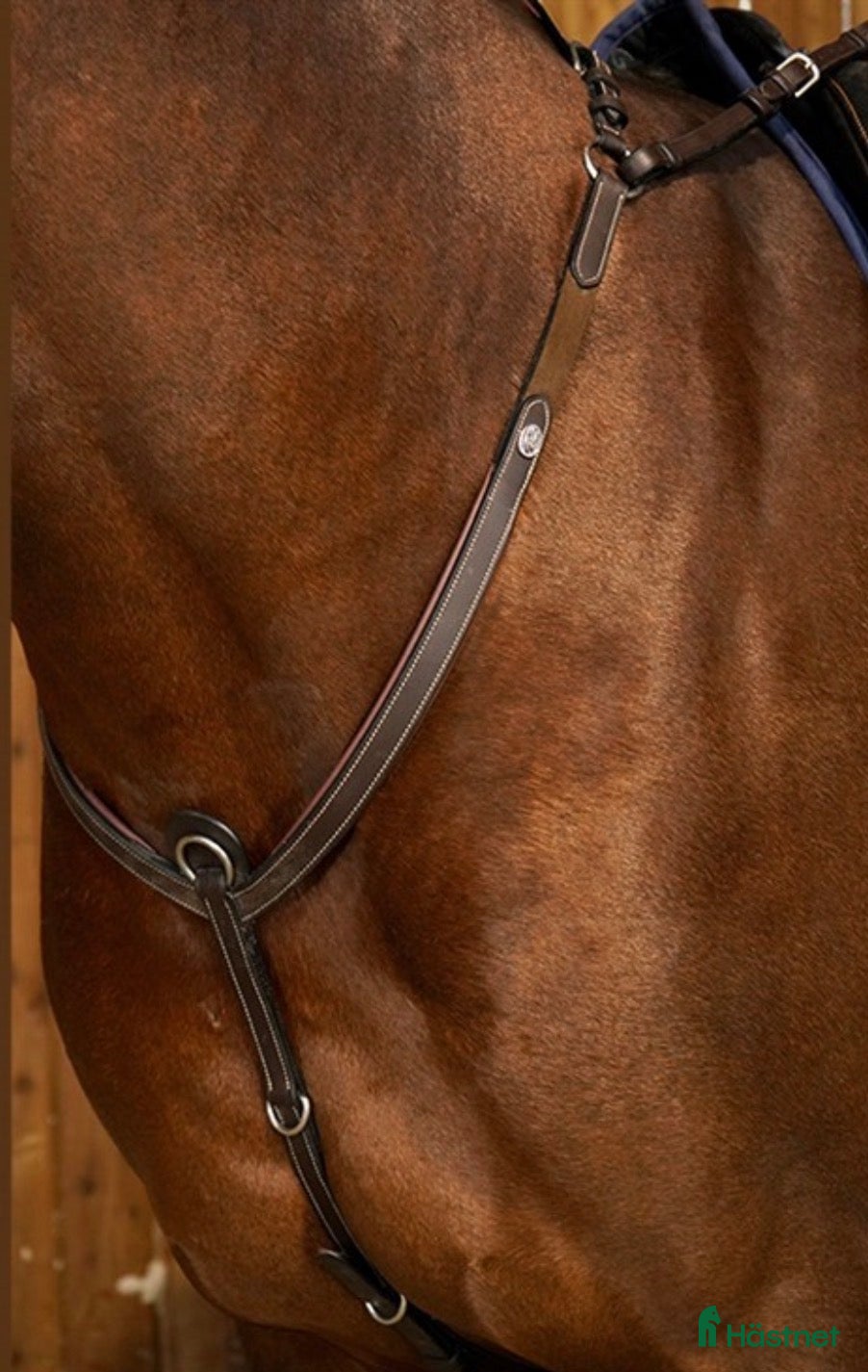 Sadeltillbehör hästutrustning Dyon Förbygel med brygga och fäste för martingal i Lidingö - Annons 4