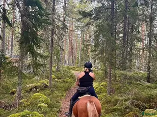 stallplats Stallplats/Lösdriftplats - Annons 4