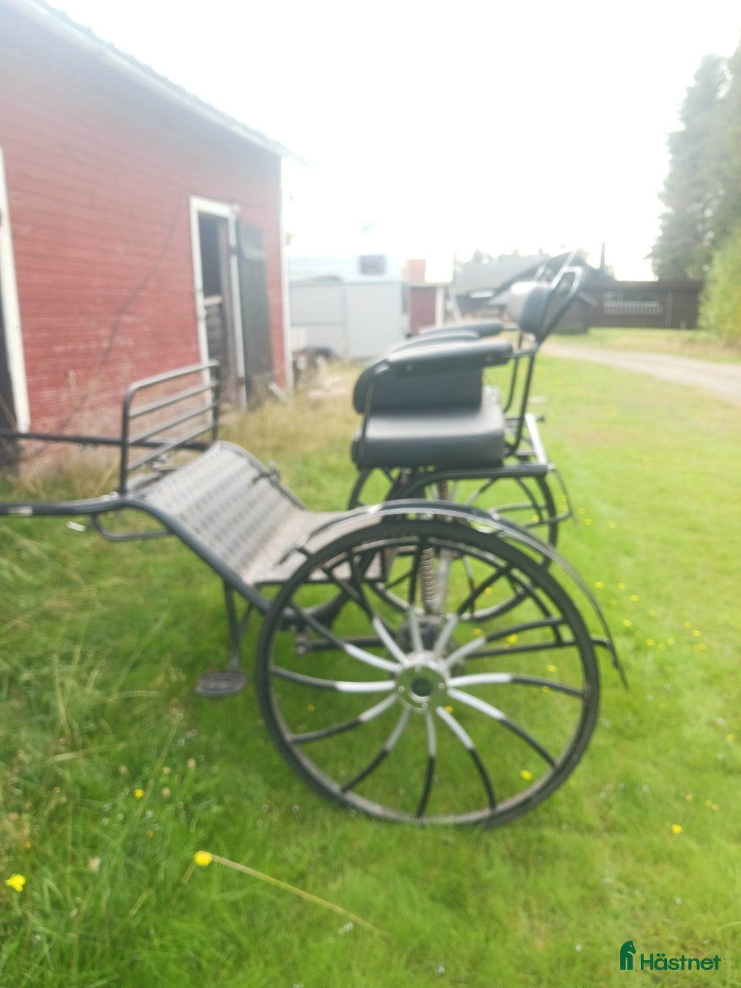 Körvagnar körning till salu: Gigg Kutzmann i Blåsmark - Annons 6