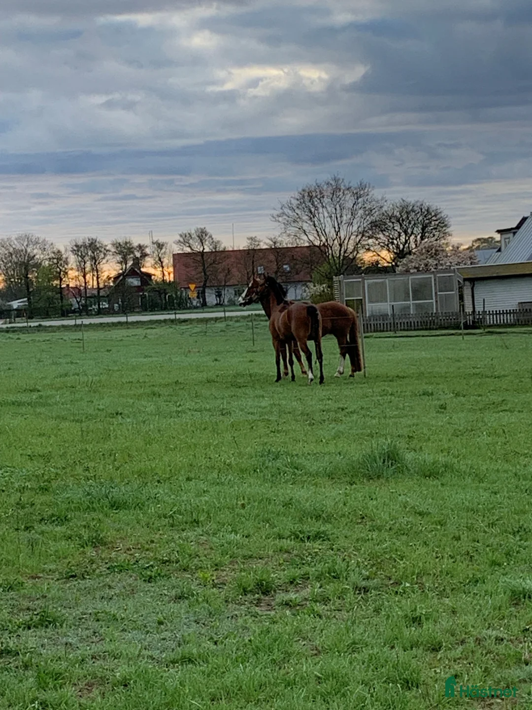  stallplats finnes: Stall plats Vejbystrand i Vejbystrand - Annons 2