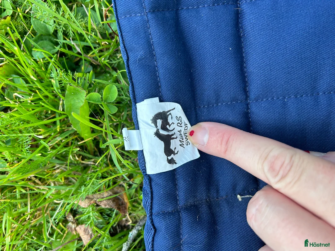 Schabrak & Vojlockar hästutrustning till salu: Mias schabrak dressyr  - Annons 2