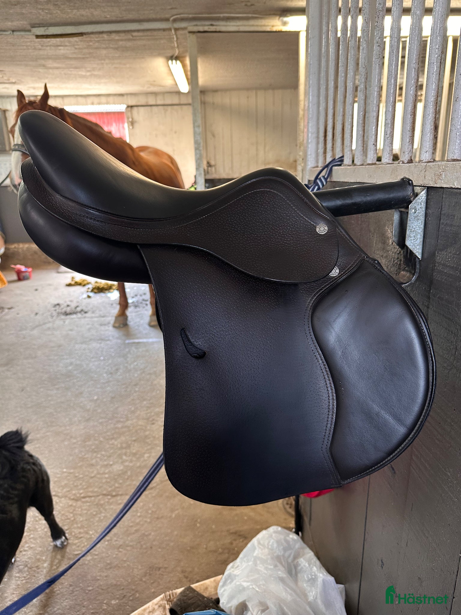 Sadlar hästutrustning Equipe Expression 14,5” - Annons 11