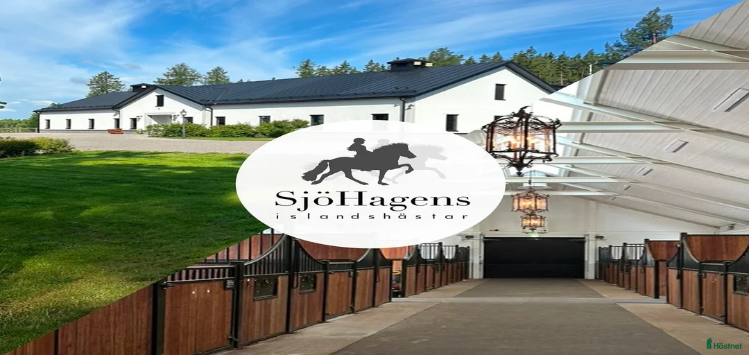 Galleribild {{count}}