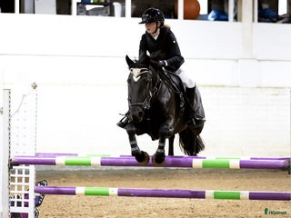 hästar 🌟Fantastisk hopponny 🌟 i Adelsö - Annons 3