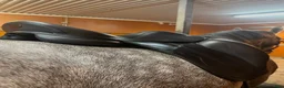 Sadlar hästutrustning till salu: Equipe Dressyrsadle  - Annons 3