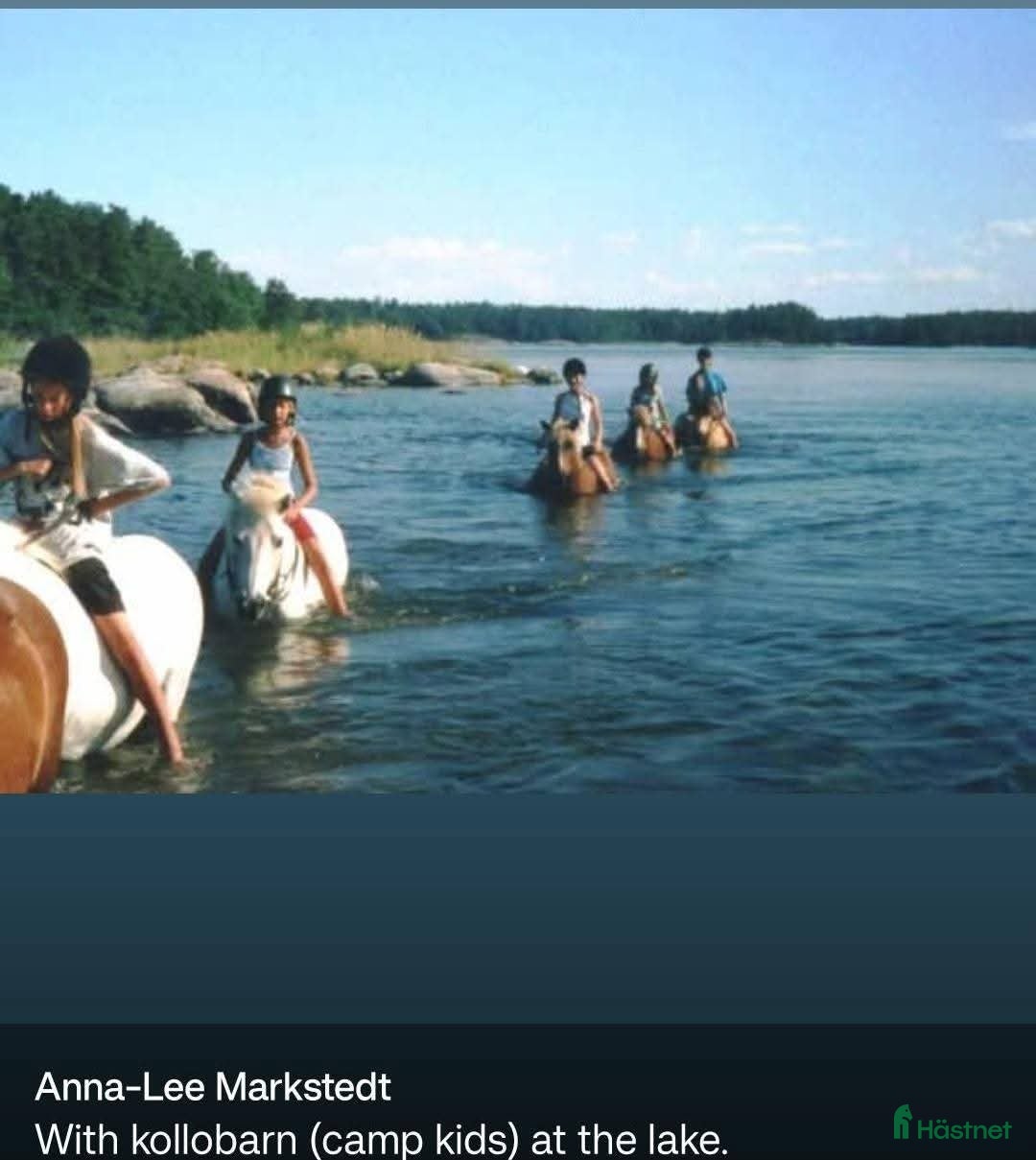  medryttarhäst finnes: Söker 2 hästar runt Västerhaninge  i Västerhaninge - Annons 8