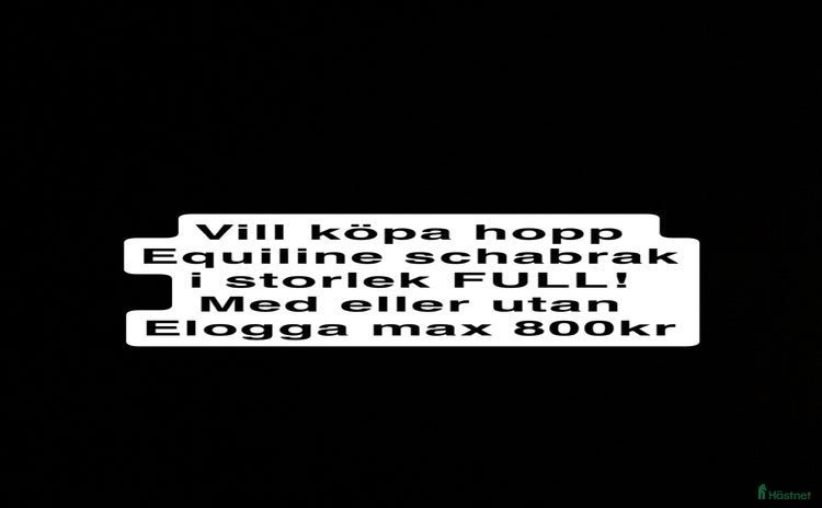 Schabrak & Vojlockar hästutrustning till salu i Stockholm - Annons 19