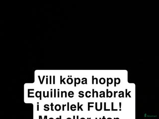 Schabrak & Vojlockar hästutrustning till salu: Köpes i Stockholm - Annons 15