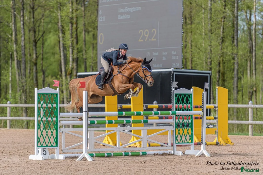 Galleribild {{count}}