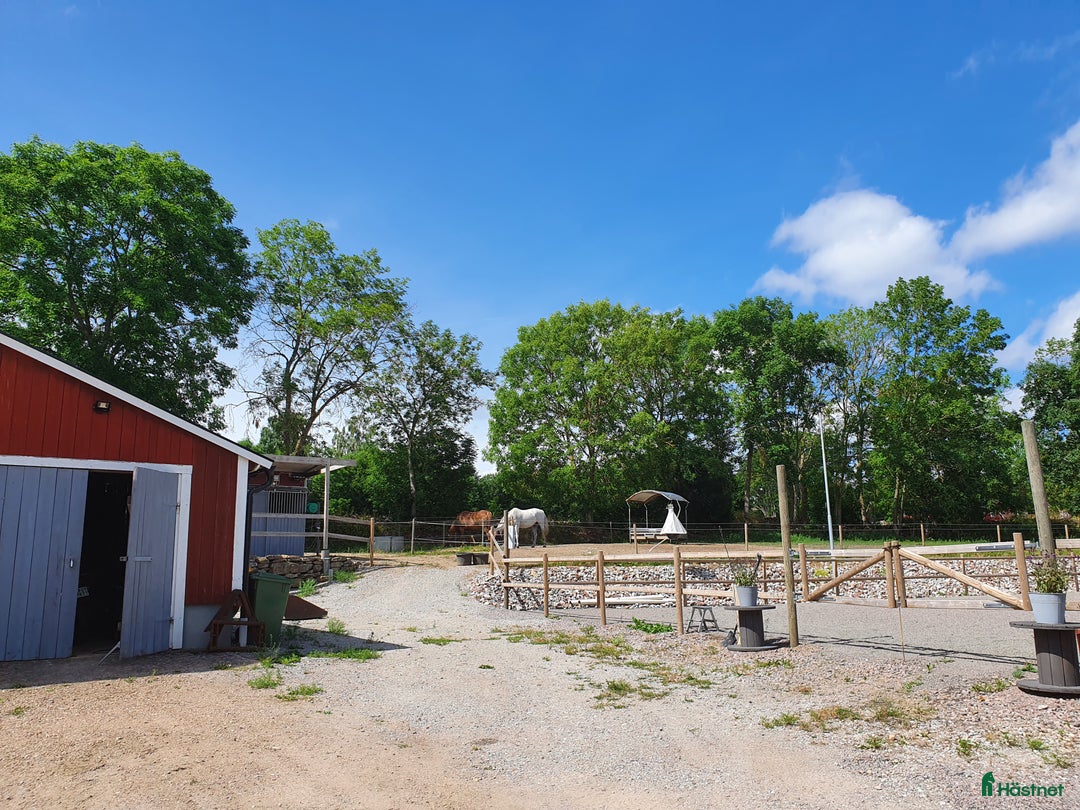  stallplats finnes: Box utanför Falköping för snäll häst och ägare i Falköping - Annons 9