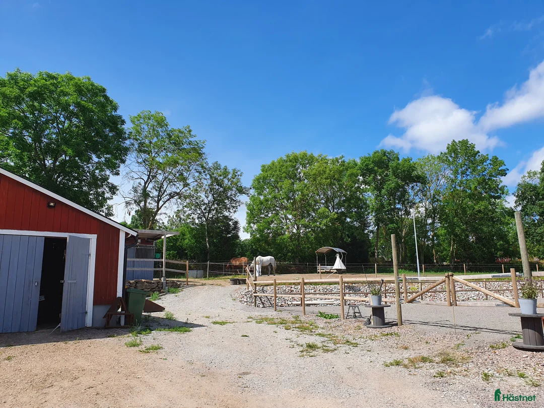  stallplats finnes: Box utanför Falköping för snäll häst och ägare - Annons 9
