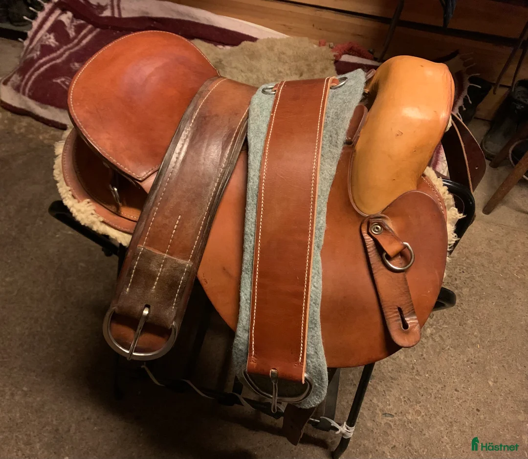 Sadlar hästutrustning till salu: HECTOR sadel Naturläder FRI FRAKT i Boden - Annons 1