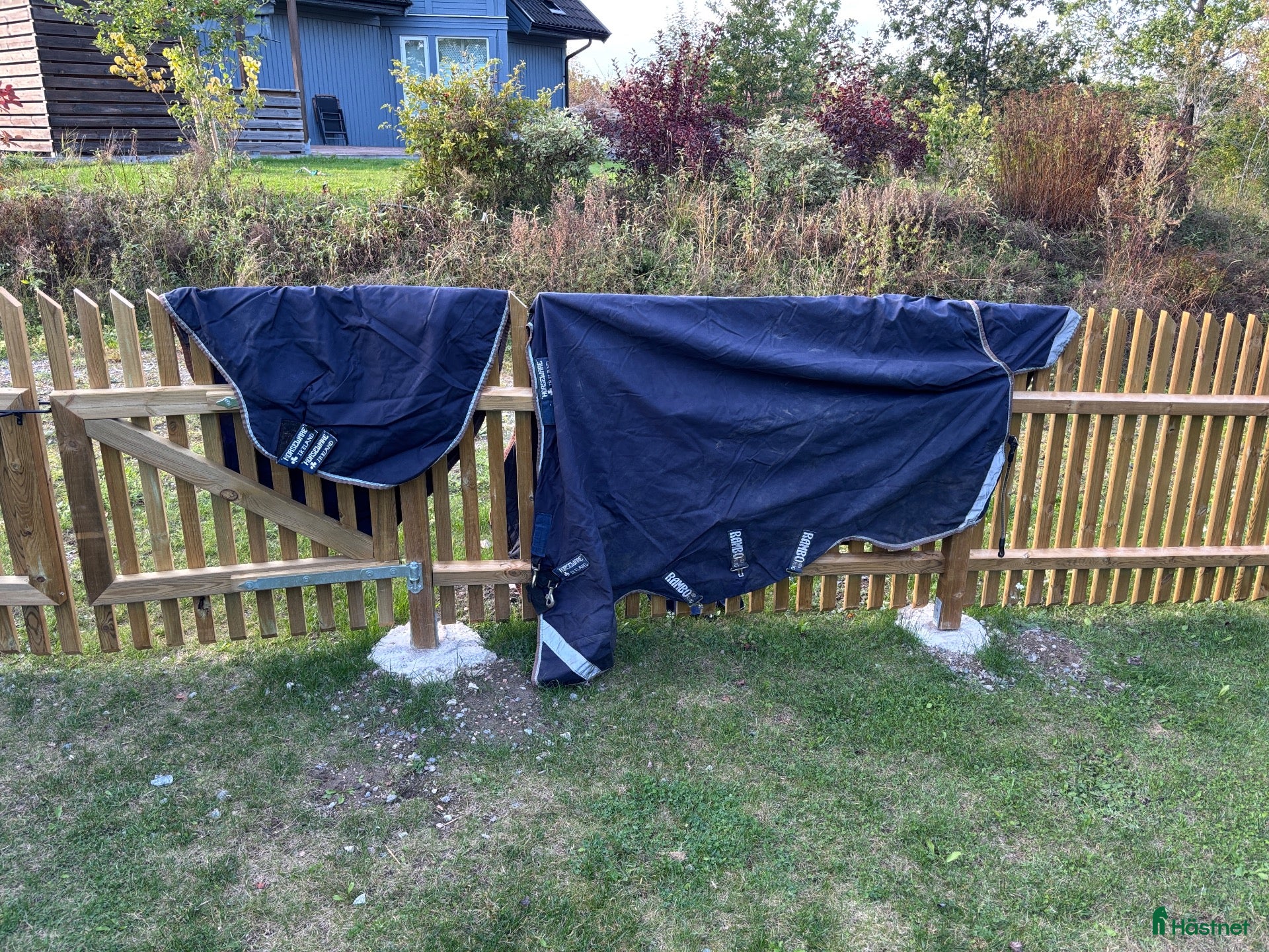 Täcken hästutrustning Rambo 100 gr med 300 gr liner - Annons 2