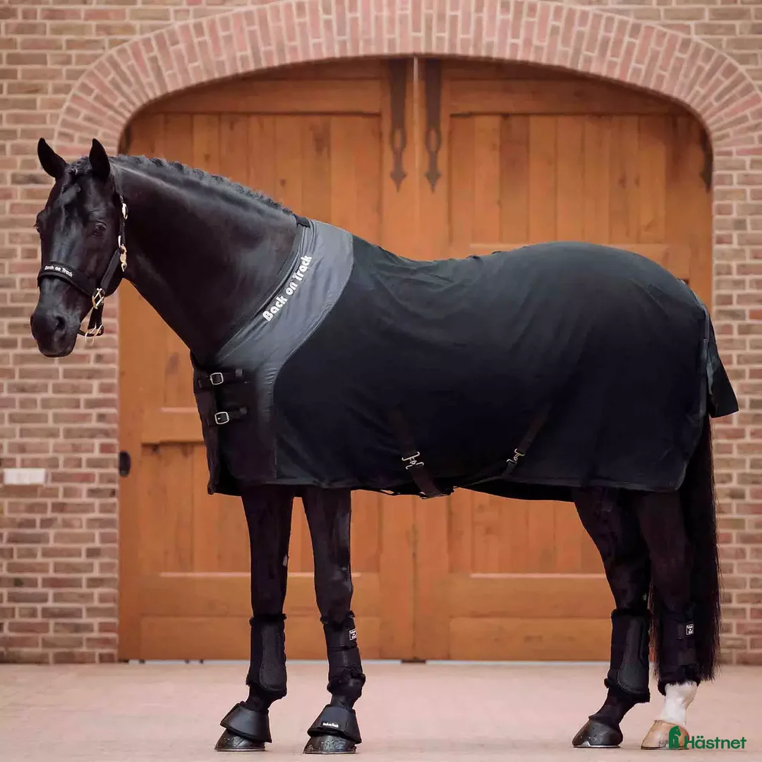 Täcken hästutrustning till salu: Back on track fleece 145 - Annons 1