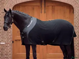 Täcken hästutrustning Back on track fleece 145 - Annons 2