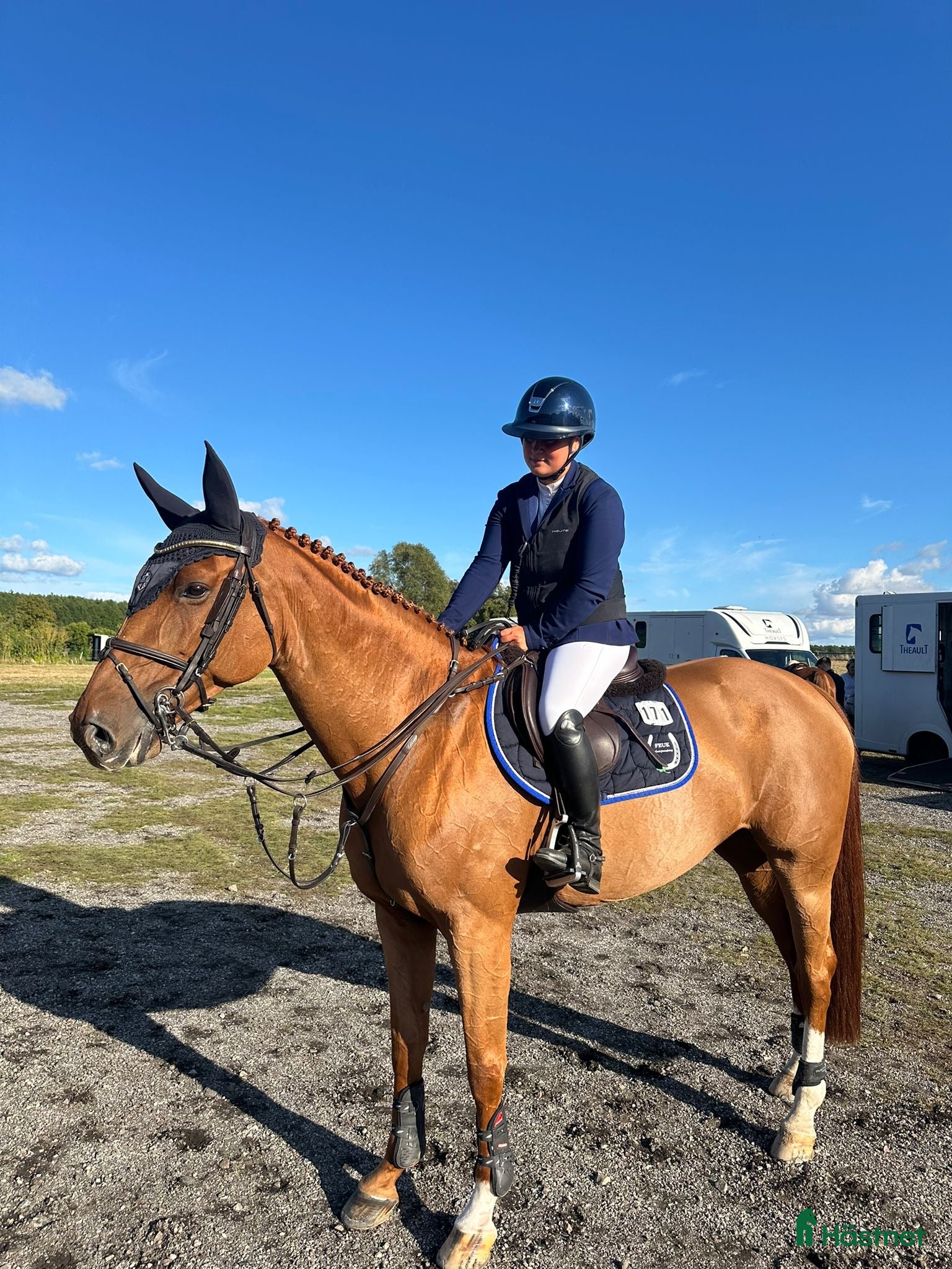  hästar Sto med potential  - Annons 14