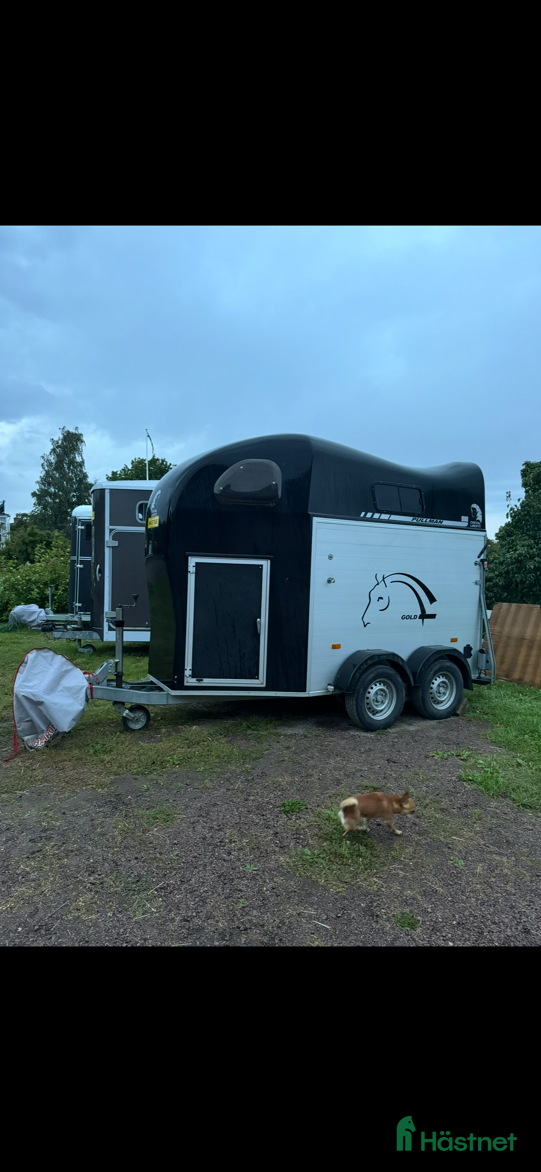 Hästtransporter  fordon & transport till salu: Jätte fint släp, säljes eller bytes mot sirius i Hjo - Annons 1