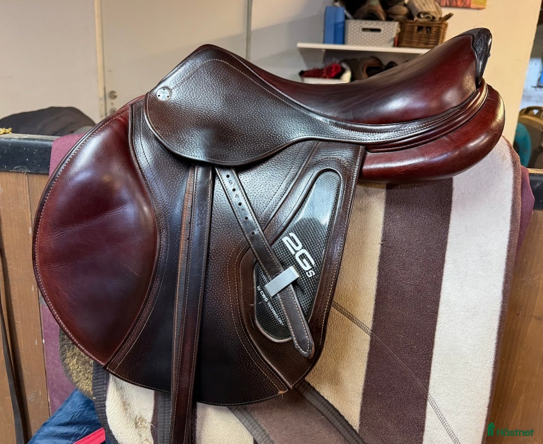 Sadlar hästutrustning till salu: Cwd 2Gs i Sölvesborg - Annons 2