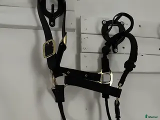 Övrig Hästutrustning hästutrustning till salu: Nylongrimma Kentucky strl Full - Annons 2