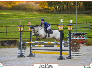 Hoppning hästar till salu: Winning 148 - 110 D Pony at Gateau Stables France i Stockholm - Annons 1