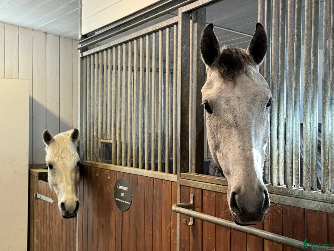  stallplats finnes: Stallplats Norra Sorunda - Annons 2