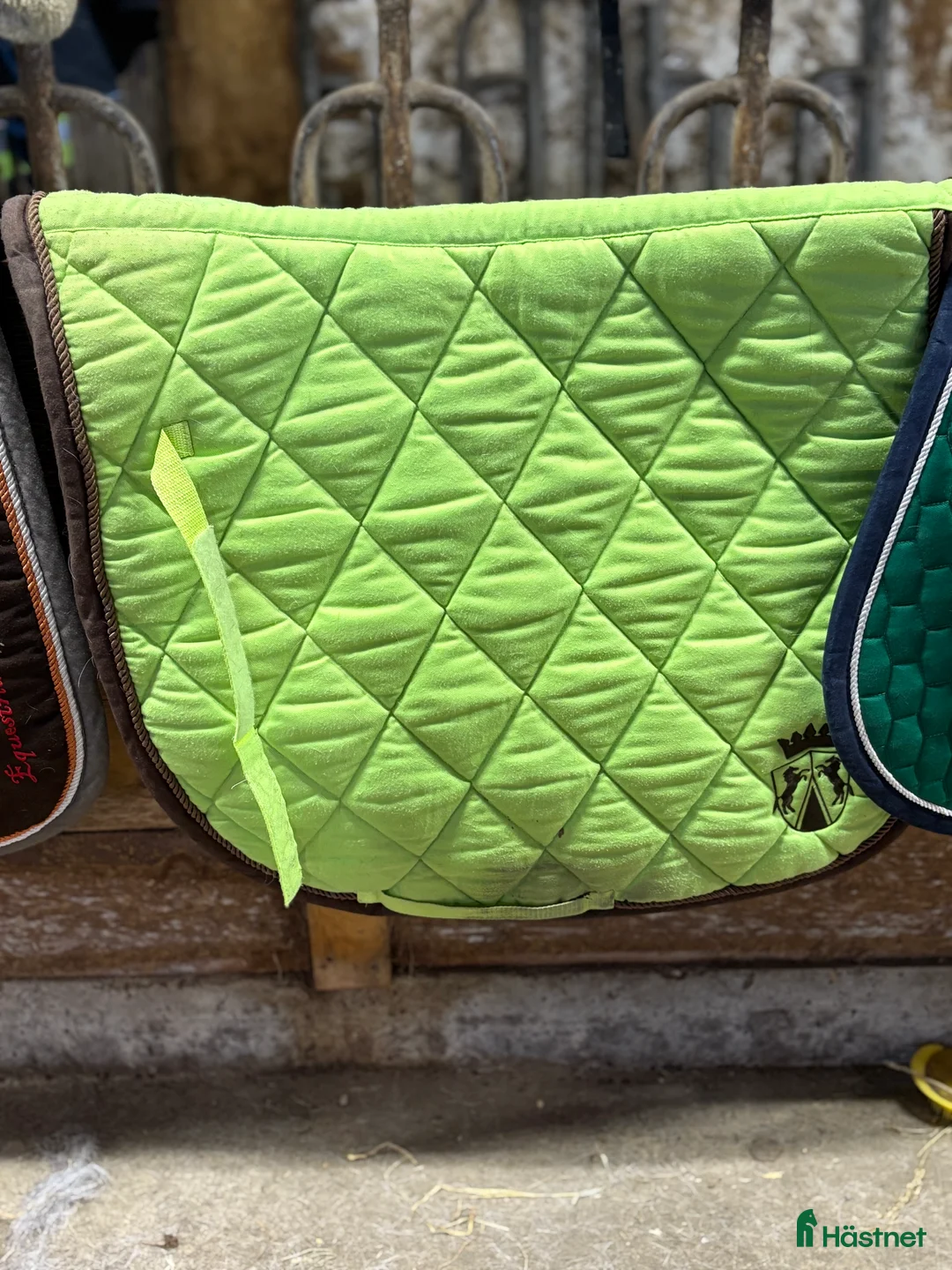 Schabrak & Vojlockar hästutrustning till salu: Schabrak och dressyrgjordar till salu i Älvsbyn - Annons 4