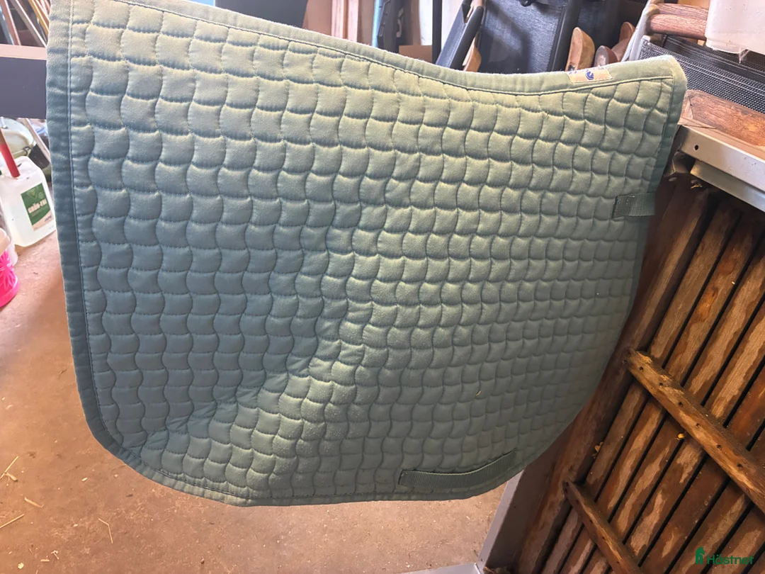 Schabrak & Vojlockar hästutrustning till salu: Schabrak  - Annons 1