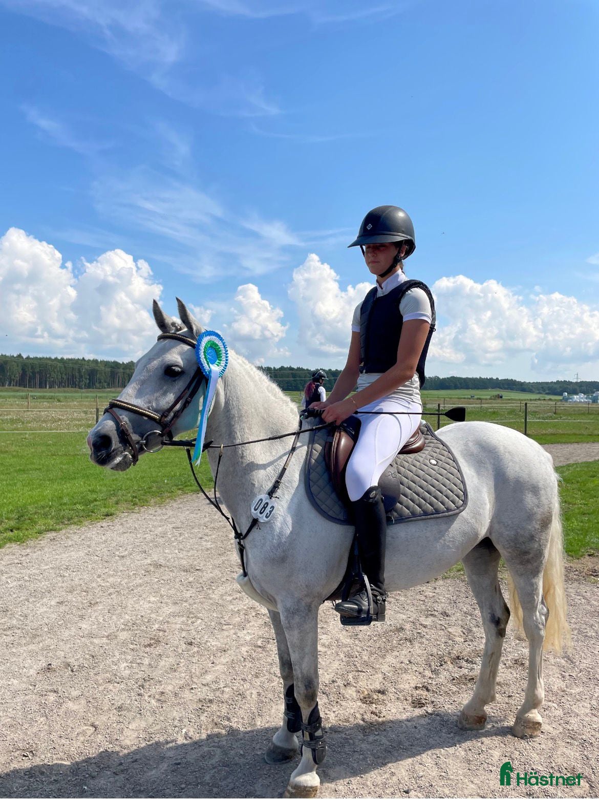  hästar 9 årigt sto vinster och placeringar upp till LA! - Annons 3