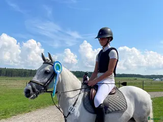 hästar 9 årigt sto vinster och placeringar upp till LA! - Annons 3
