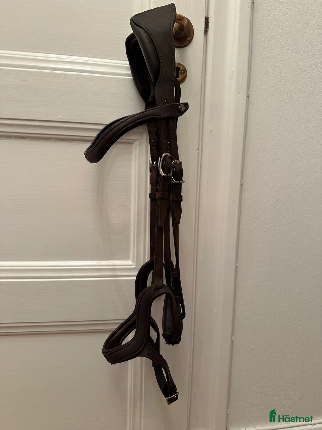 Träns hästutrustning till salu: Antares - precision Y-nosgrimma i Stockholm - Annons 13