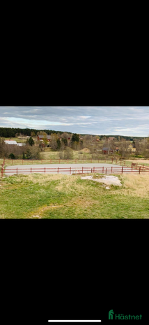 stallplats i Söderköping - Annons 8