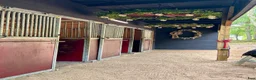  stallplats finnes: Stallplats Boxplats uthyres - Annons 1