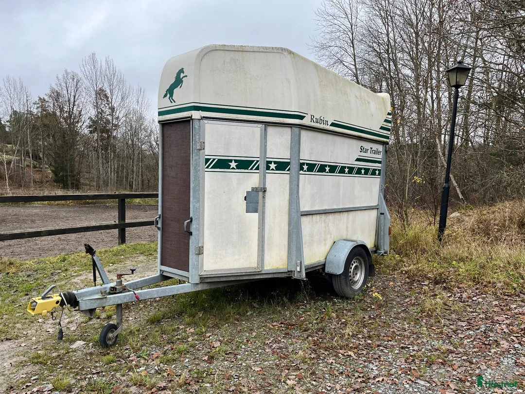Hästtransporter  fordon & transport till salu: Star Trailer Rubin - Annons 1