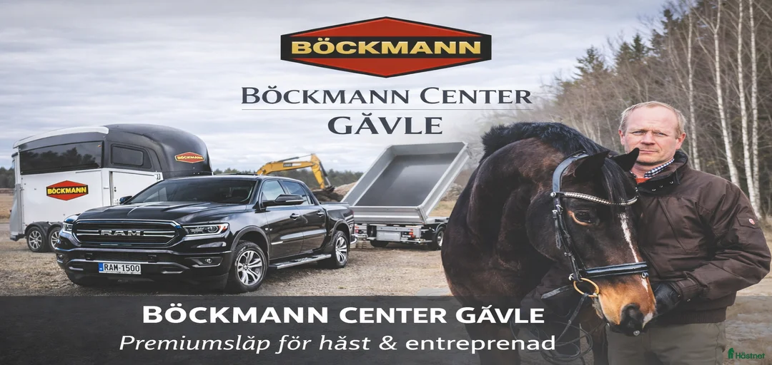 Galleribild {{count}}