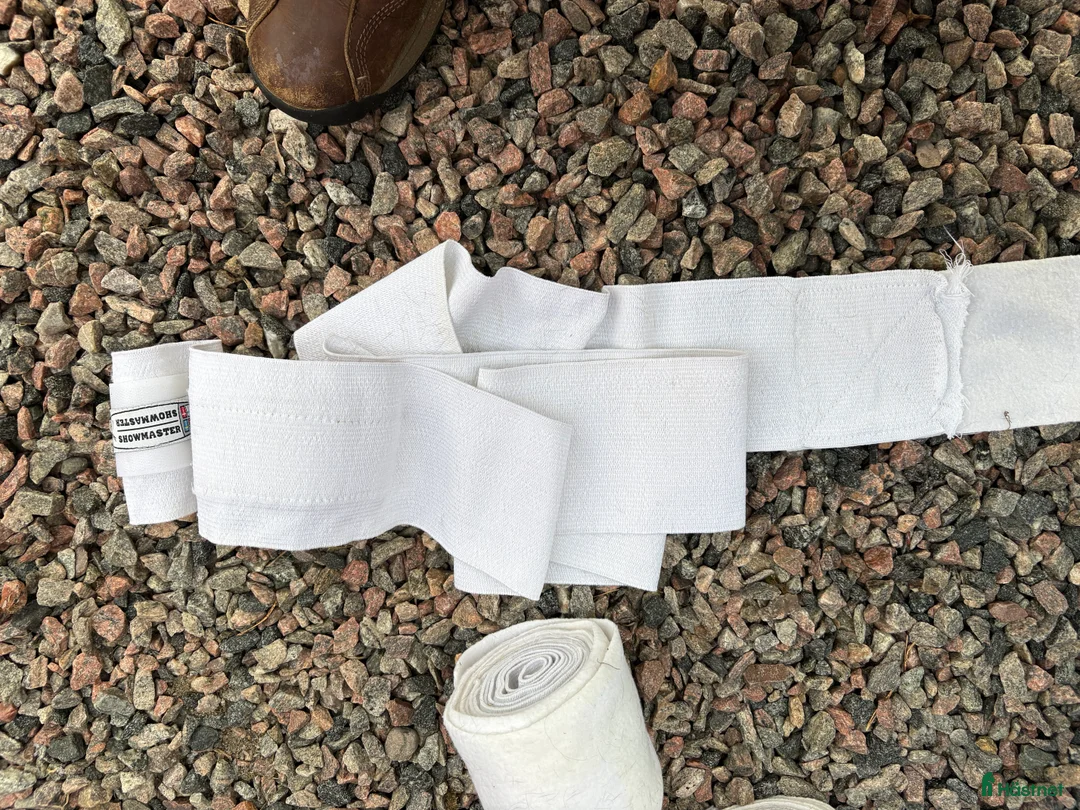 Täcken hästutrustning till salu: Täcken, bandage och transportskydd - Annons 10