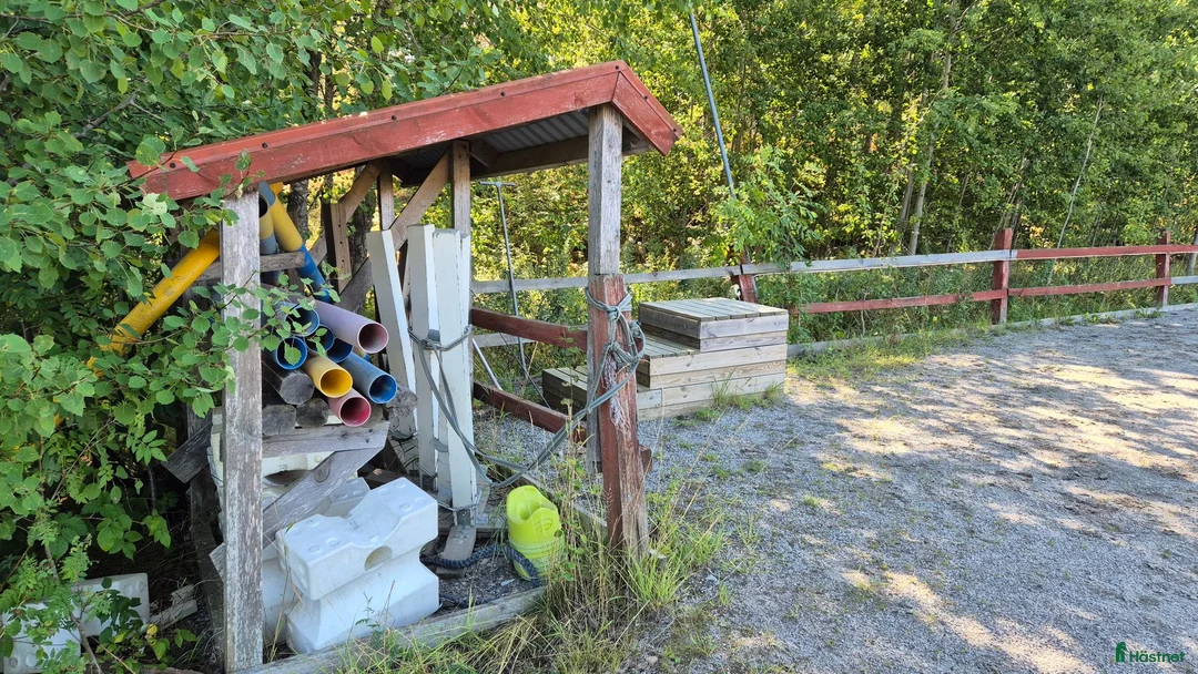  stallplats finnes: Boxplats för valack  - Annons 8