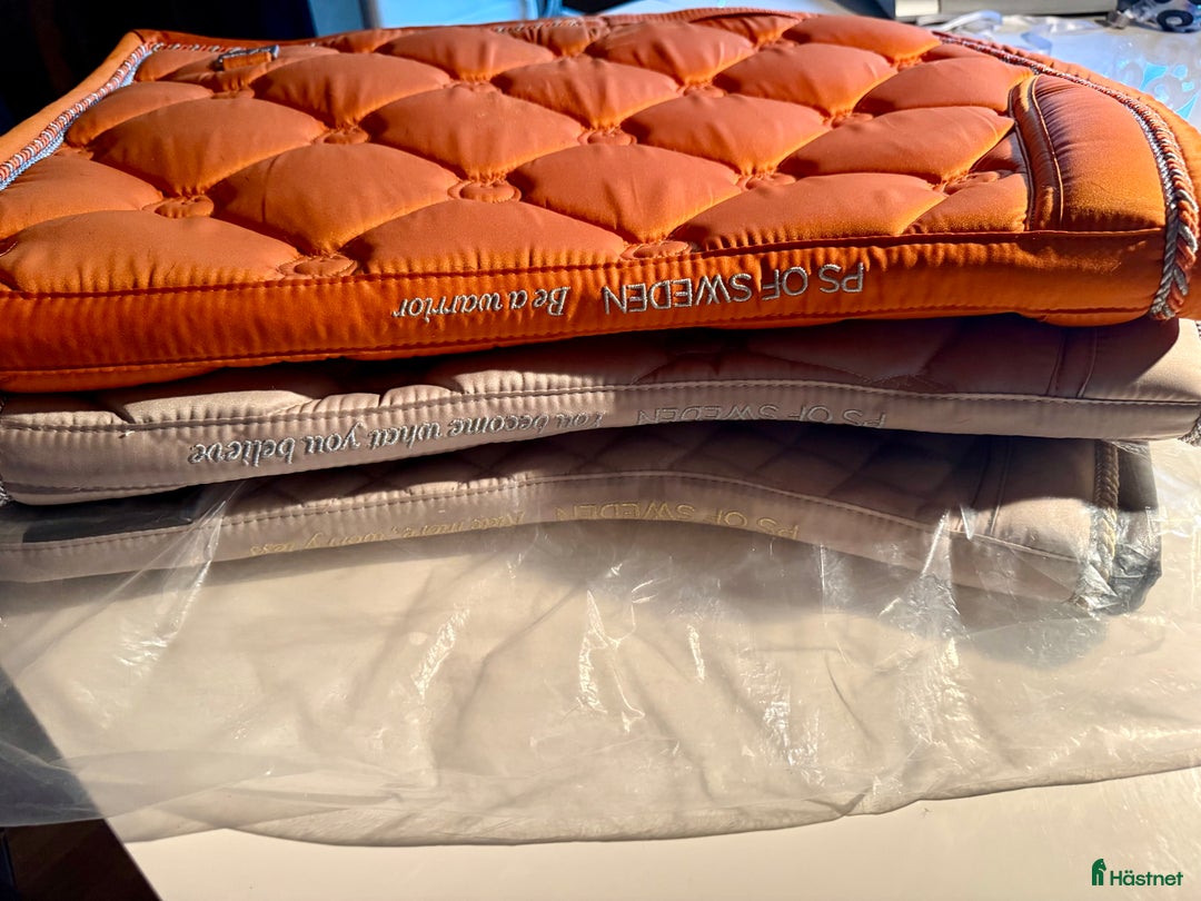 Schabrak & Vojlockar hästutrustning till salu: PS of Sweden schabrak  i Linköping - Annons 2