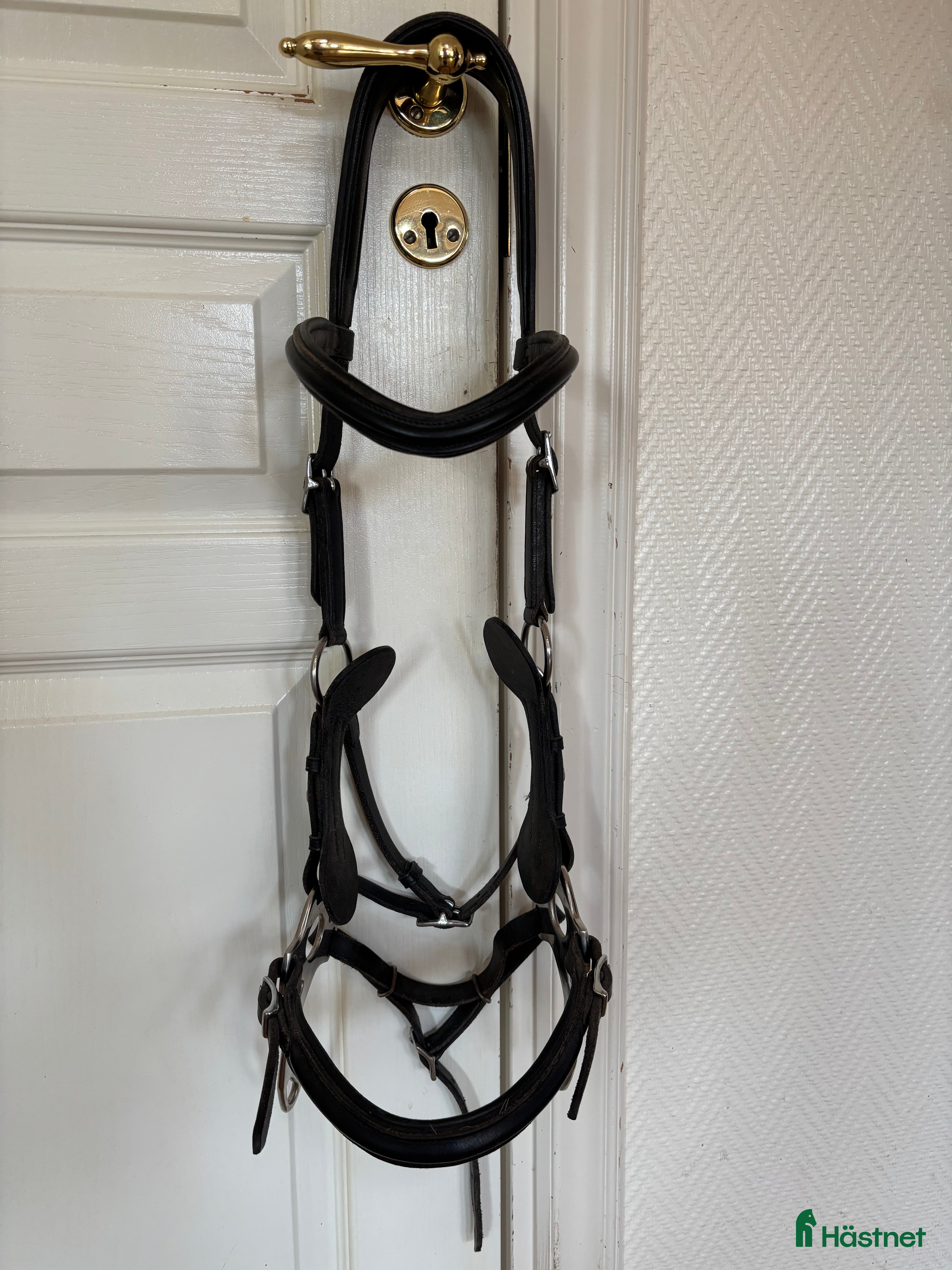 Träns hästutrustning Huvudlag bettlös  - Annons 2