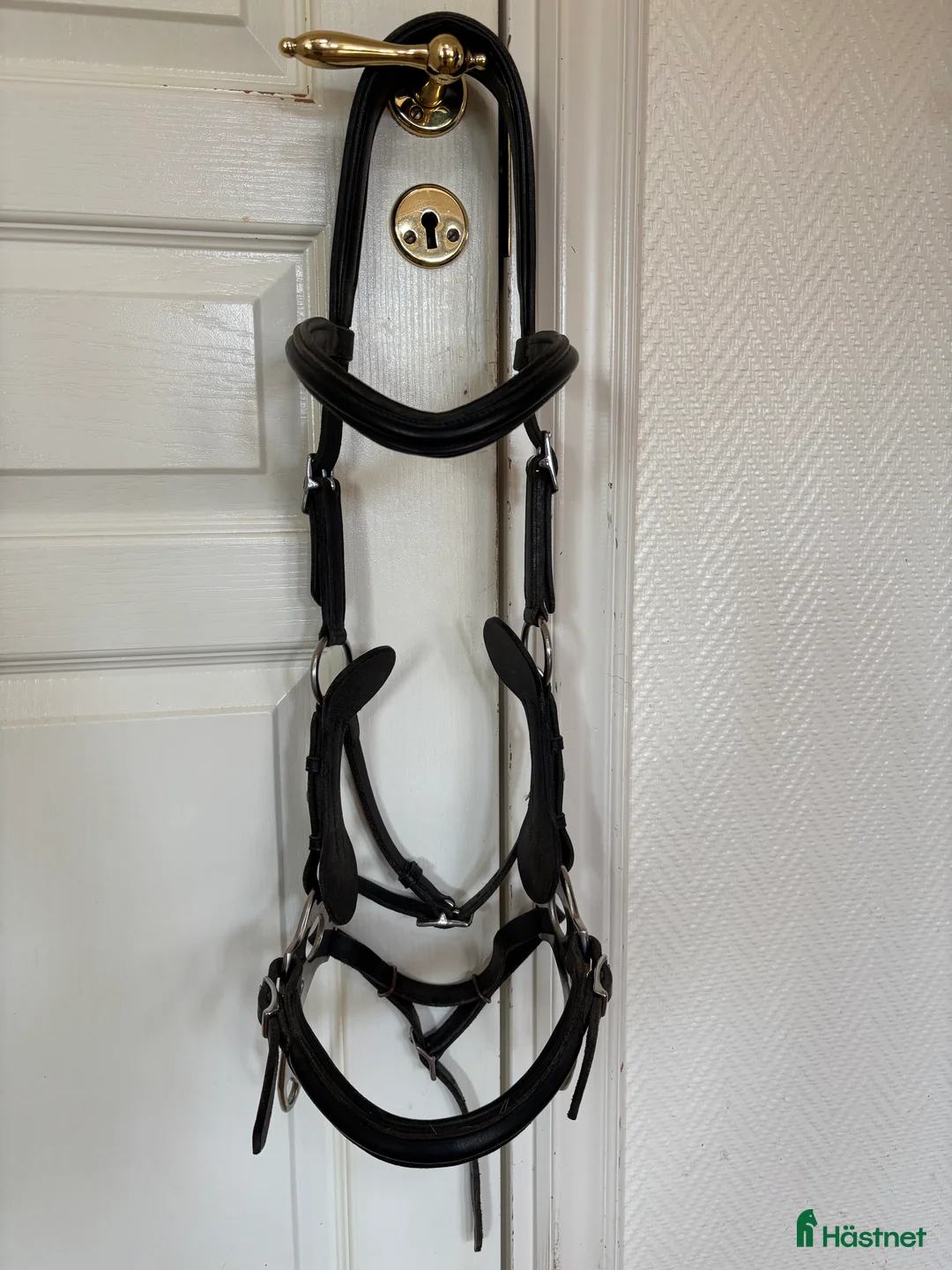 Träns hästutrustning till salu: Huvudlag bettlös  - Annons 1