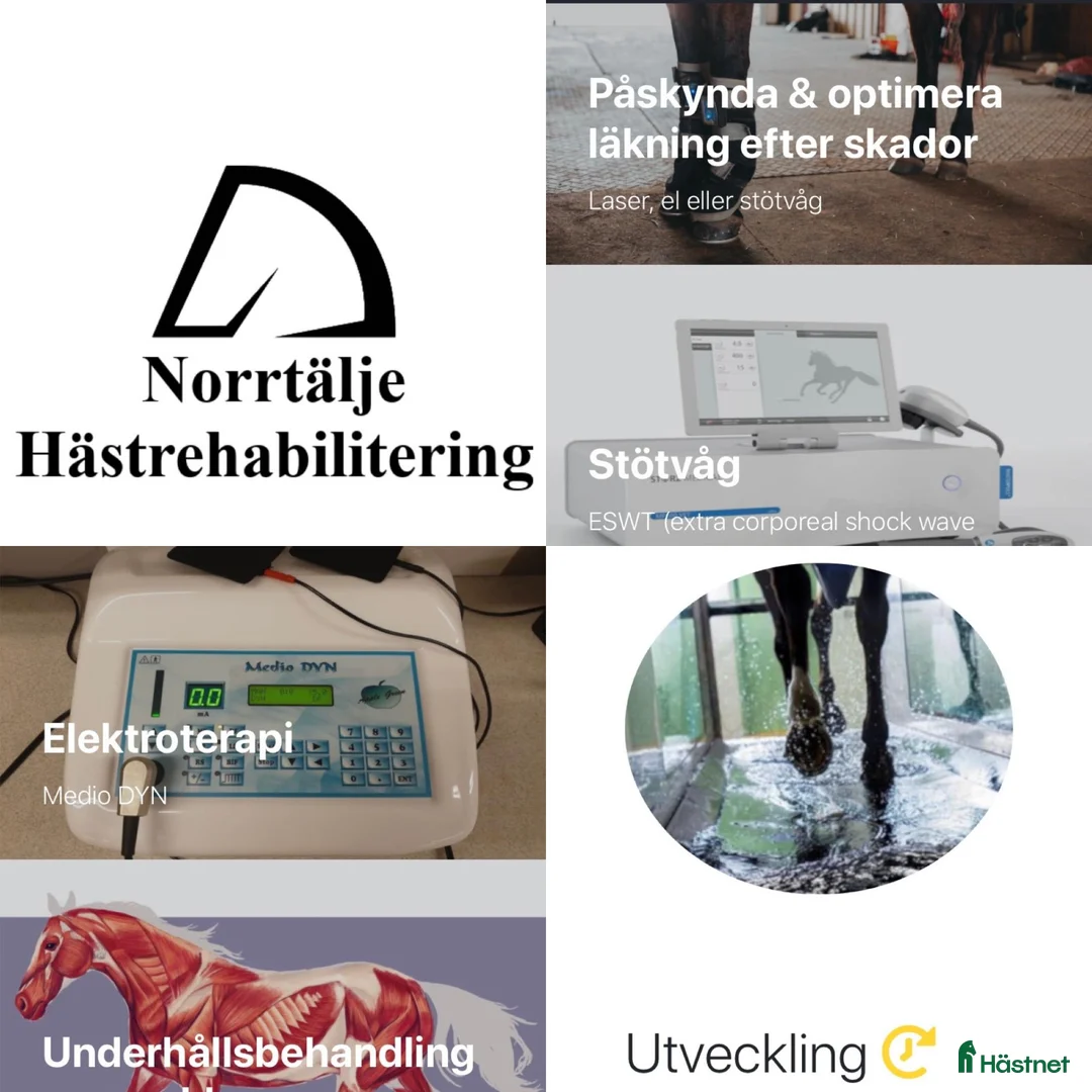 Galleribild {{count}}