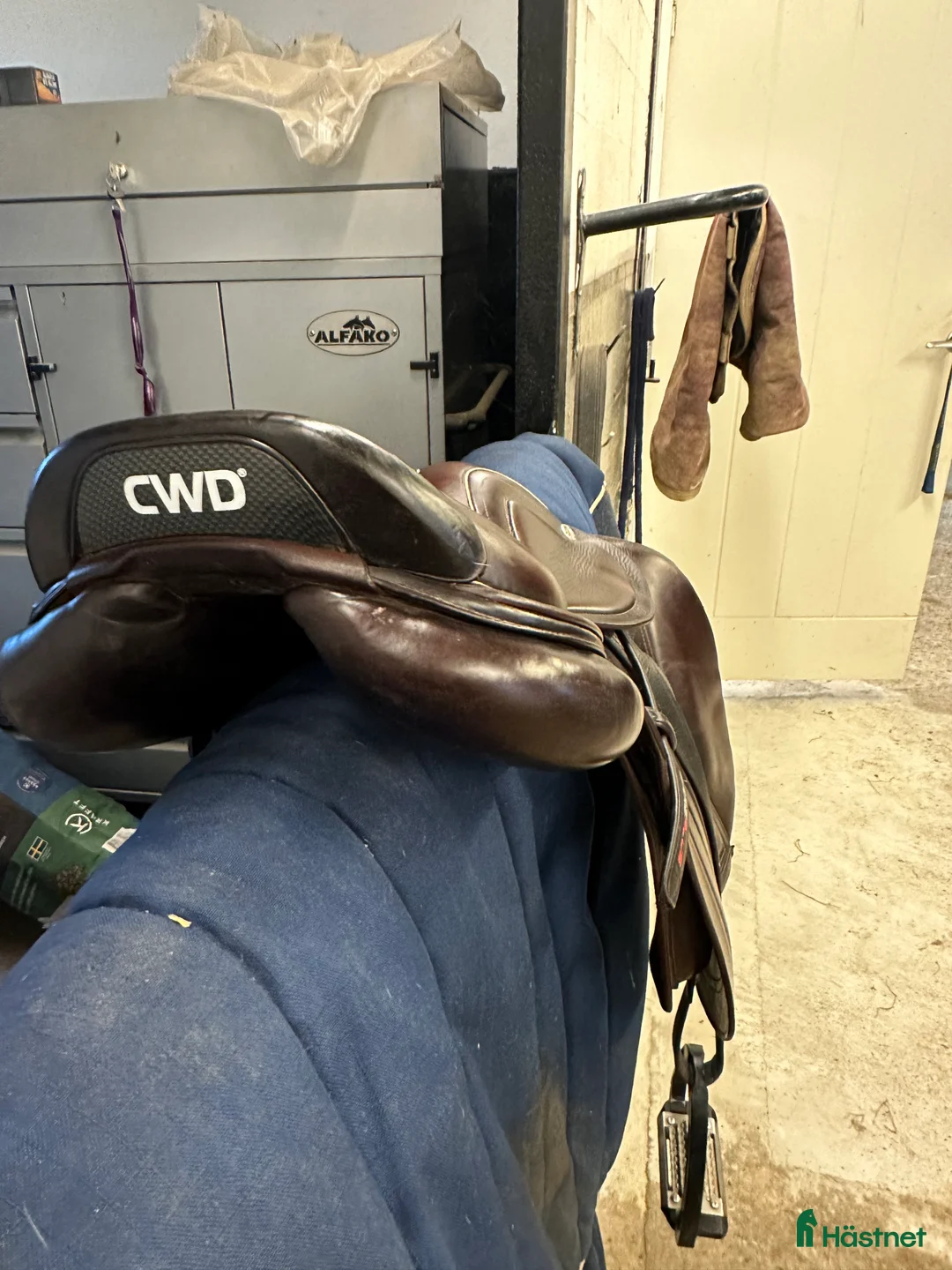 Sadlar hästutrustning till salu: CWD Mademoiselle  i Hörby - Annons 5