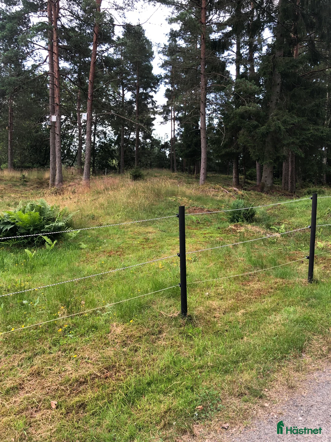  stallplats finnes: Stallplats uthyres till Islandshäst / ponny  i Mölnlycke - Annons 6