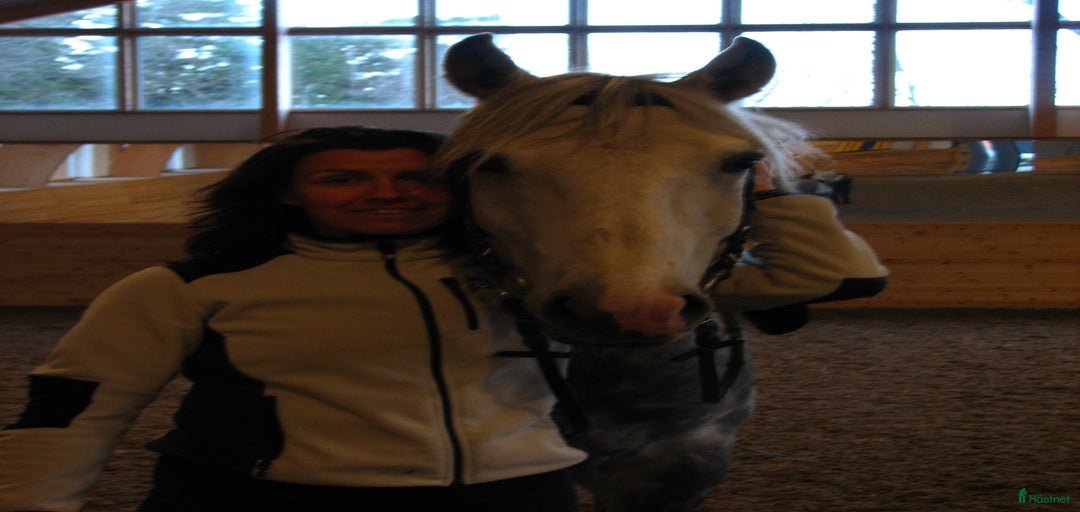 Galleribild {{count}}