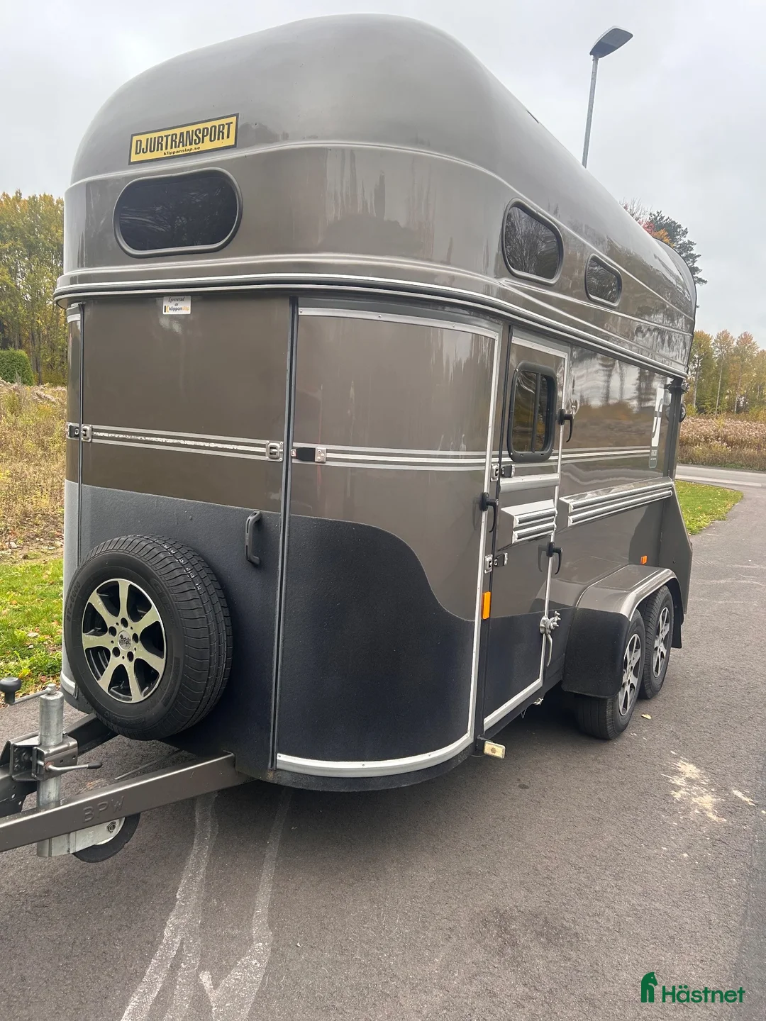 Hästtransporter  fordon & transport till salu: Pedantskött Forzab Classic 26 SEH  - Annons 2
