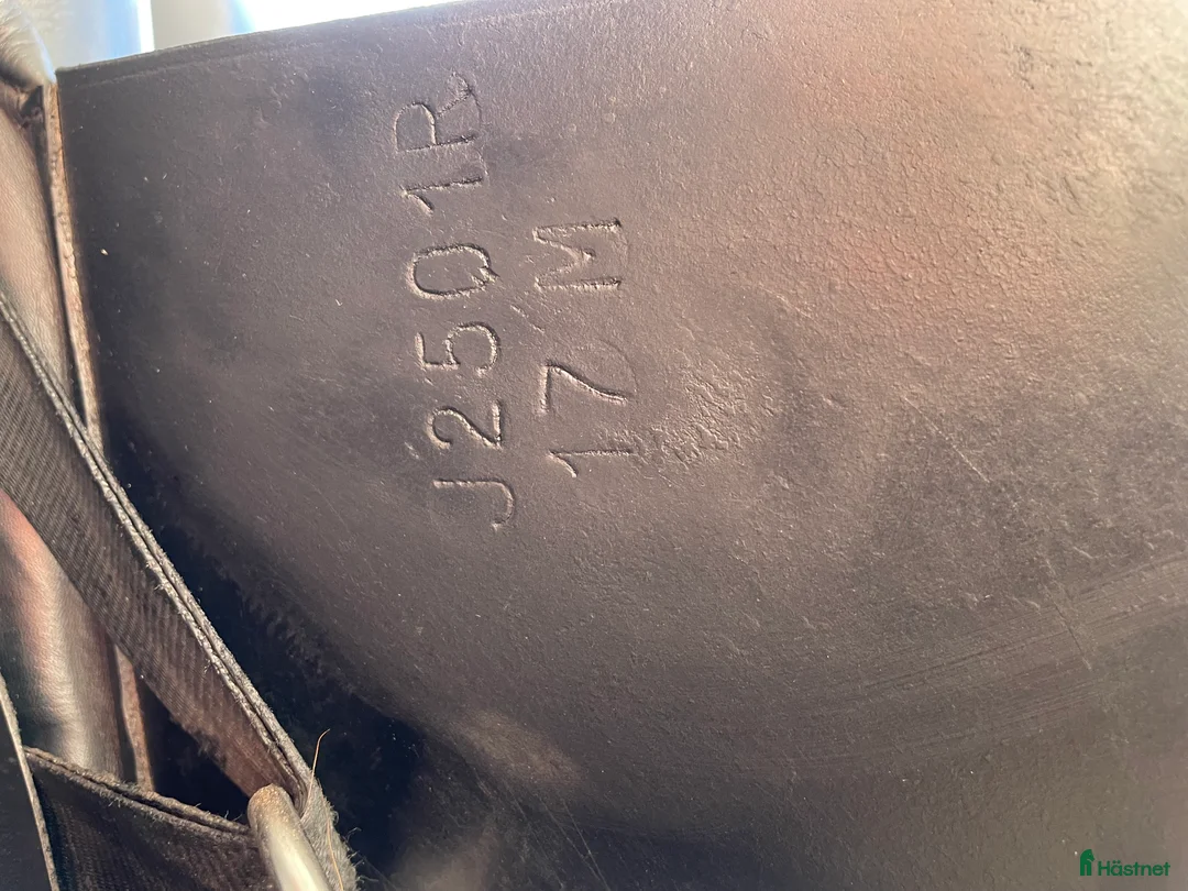 Sadlar hästutrustning till salu: **prissänkt🌟GE BUD! i Hudiksvall - Annons 6