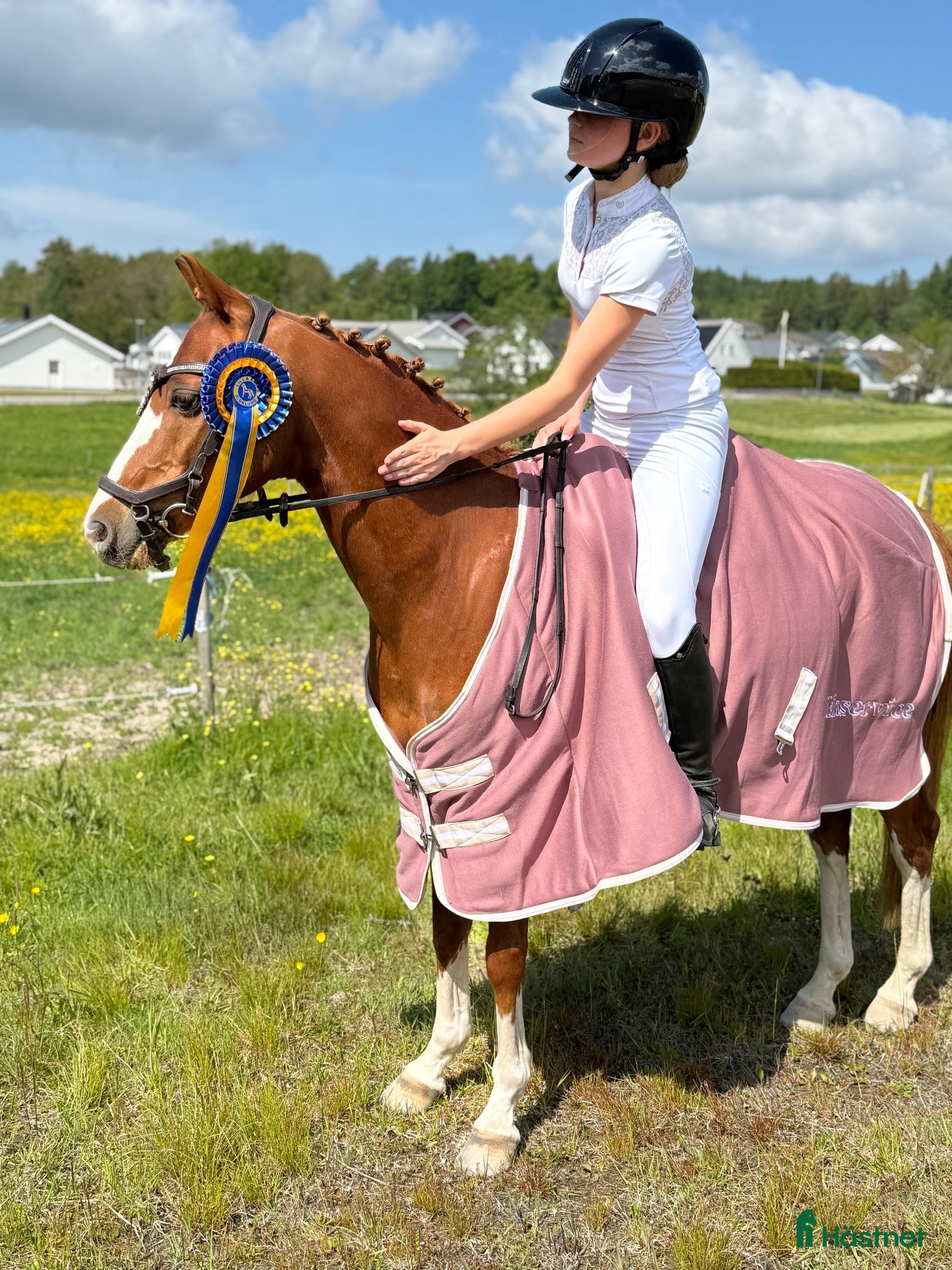  hästar Perfekt läromästare! Dressyrponny C-ponny  - Annons 1